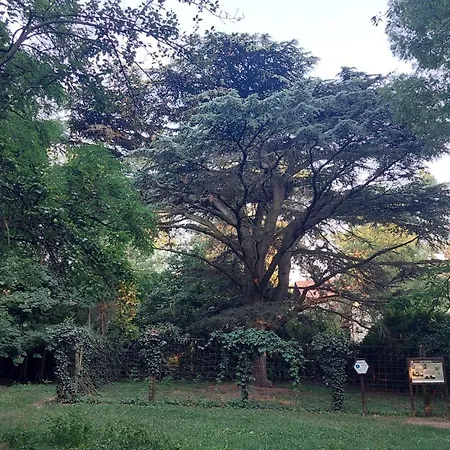 Apartamento Voeroestorony